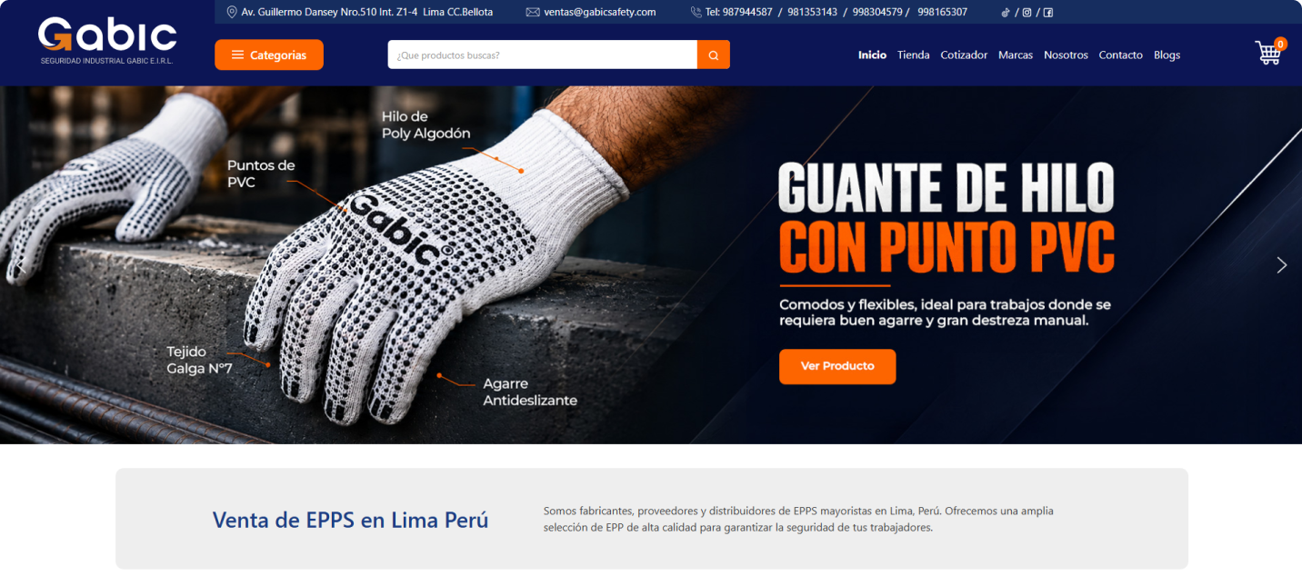 Página web Gabic